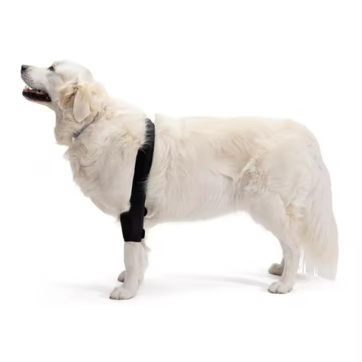 Ortocanis Protector de Codo para Perro | Ortopedia Canina - 1