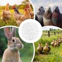 Jaula De Pato De Plástico Para Gallo Y Hamster Juego De 3 Piezas Jaula Sférica De Seguridad Para Cría De Pollos Alimentación Libre En Campo - details 4