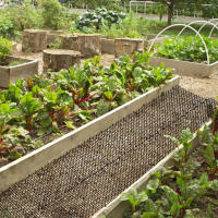 Almohadilla Repelente De Gato Para Jardín 2M Con Espigas Y Puntas Plásticas Anti Gato Perro Para Prevenir Excavaciones Y Subidas Materiales Seguras Tamaño 200x30 Cm - details 5