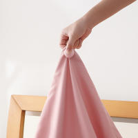 Clip De Sábanas Y Edredón 4-20PCS Clip De Cierre Rápido Para Edredón Anti Deslizamiento Gancho Para Fundas De Edredón Y Fundas De Sábanas - details 2