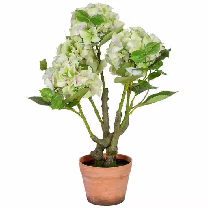 Hortensia  decorativa artificial    verde, 46x44x67h cm - 1