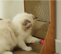 PURLOV Rascador para gatos de madera con sisal resistente, diseño vertical y base amplia, ideal para afilar uñas y proteger muebles, incluye juguete interactivo, 60 cm de altura, apto para gatos de todas las edades y tamaños - details 3