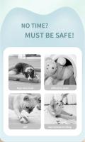 Bola Saltarina Inteligente Para Perros Y Gatos Juguete Eléctrico Auto-Rolling Mordedor Para Mascotas Juguetes Para Entretenimiento Propio - details 2