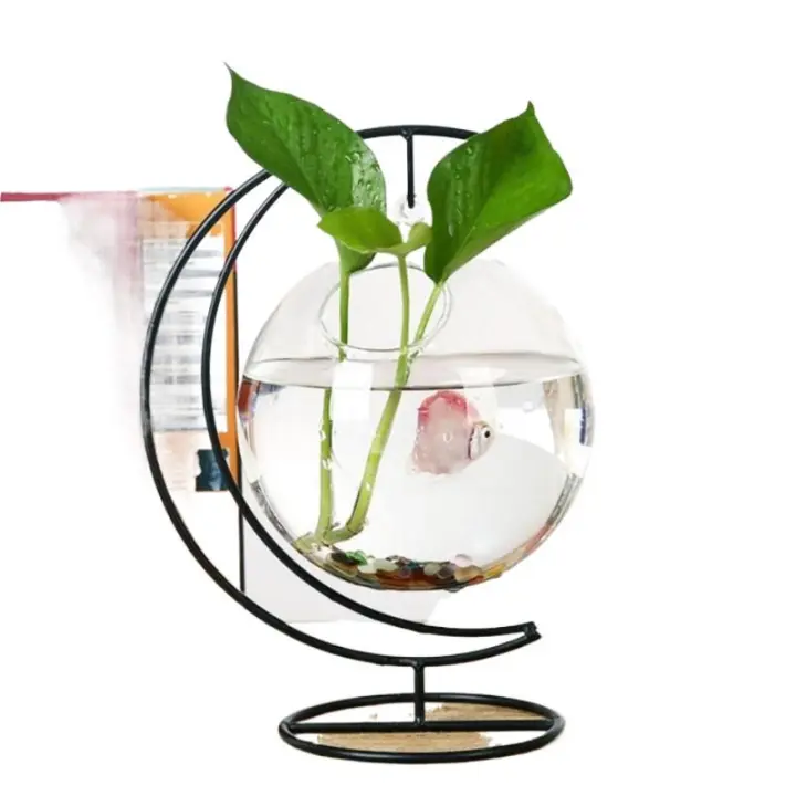 Pequeño Acuario De Vidrio Transparente Para Golondrinas Con Sistema De Agricultura En Hangar Vaso De Vidrio Colgante Creativo Hydroponic - 1