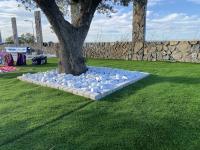 Piedras Decorativas Blanca Canto Rodado 40-60 mm 20 kg – Ideal para Jardines, Rocallas, Macetas Grandes y Paisajismo Exterior - details 2