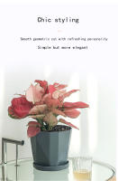 Macetas De Plástico Para Interiores Y Exteriores Grandes Para Plantas Succulentas Y Verdes Maceta Clásica Para Escritorio - details 0