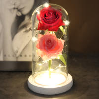 Lámpara De Rosas Rojas En Domos De Vidrio Base De Madera Belleza Y Bestia Regalo De San Valentín Y Navidad Decoración Para El Hogar - details 14
