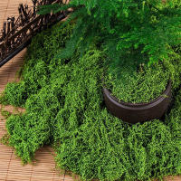 1PC DIY Hierba Artificial Verde Fresca Moss Para Jardín Terrariums Decoración De Centros De Mesa De Boda Micro Paisaje De Leno - details 6
