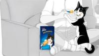 FELIX - Deli Moments Pollo (44x10 gr) - Snack Líquido para Gatos (11 Cajas de 4x10 gr) - details 3