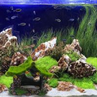 1PC Casa De Resina Hueca Para Acuario Ocasión Para Tartarugas Y Bettas Decoración De Escondite Para Peces - details 4