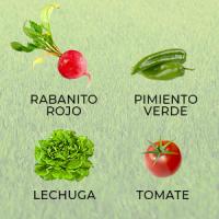 Plantawa Mini Huerto de Interior para Plantas Semillas Hortalizas y Aromáticas, Kit de Cultivo Completo Huerto Urbano Ecológico en Casa Jardín Terraza Regalo Original. - details 2
