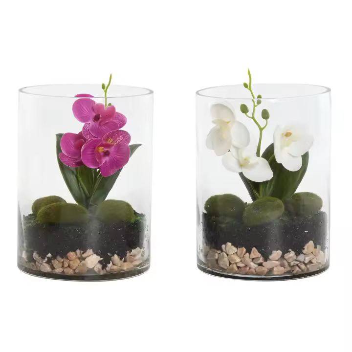 Planta Decorativa Home ESPRIT PVC Cristal 15 x 15 x 20 cm (2 Unidades) - 1