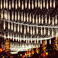 Luces De Show De Meteoros Para Exterior Con Forma De Lluvia Caída Luz De Hada Para Decoración De Jardín Y Fiesta Navideña EU Plug - details 0