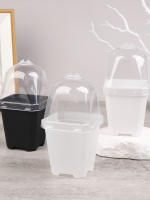 Juego De 5 Macetas Cuadradas Pequeñas Con Domos De Humedad Transparentes Para Plantas En Iniciación Moderno Estilo Plástico - details 18