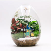 Florero de vidrio suculento de escritorio, globo de vidrio transparente, maceta de vidrio suculenta para mesa, plantador de plantas de aire suculentas - details 7