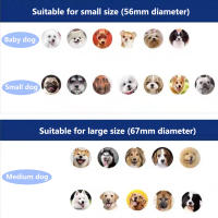 Bola Interactiva Inteligente Para Perros Juguete Rotativo Y Saltar Automático Borrable Recargable Por USB Material De Goma - details 6