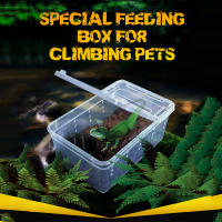 Caja De Alimentación Transparente Para Reptiles Y Araña Plástico Insectos Contenedor De Alimentos Terrario 19cmx12.5cmx7.5cm - details 0