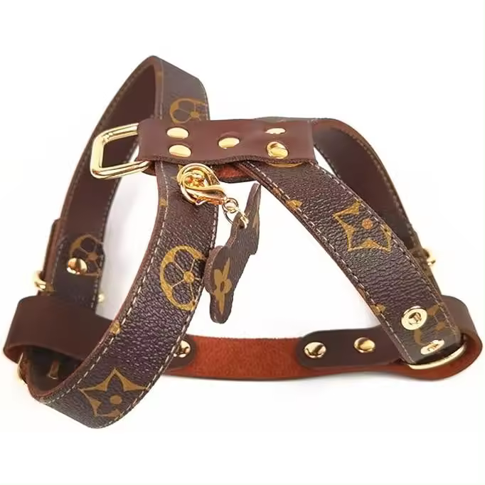 Verde Collar de Perro de Lujo Conjunto de Correa Arnés Diseñador Pequeño y Mediano Perro Collar de Mascota Pug Chihuahua Collar de Perro Ajustable Conjunto de Protección Fuerte Correa de Mascota Segura (Color: Arnés, Tamaño: XL) - 1