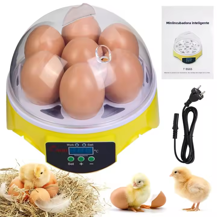 Incubador De Huevos Pequeño Para El Hogar Capacidad De 7 Huevos Automático Control De Temperatura Inteligente Para Pollos Pato Tortuga Y Pájaros - 1