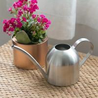 Maceta De Riego De Acero Inoxidable Con Boquilla Larga Accesorios De Jardín Para Plantas Sandía De Cobre Pulido Metal - details 8