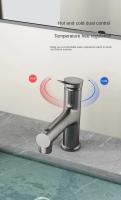 Grifo De Baño Con Salida De Agua Caliente Y Fría Tipo Pullout Tres Modos Grifo De Lavabo Ducha Montaje En Superficie Material De Cobre Zink Aluminio Cerámica Discos - details 9