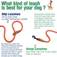 Correa Y Collar De Nylon Duradero Para Perros Medio Y Grande 2 En 1 Ajustable Cómodo Con Anillo De Solución Para Mascotas - details 4
