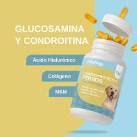 Vittalogy Condroprotector para Perros 120 Cápsulas ✅ Entrega 24/72h - details 2