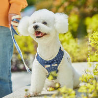 Harnés Para Perros Pequeños Con Correa Estilo Camiseta Y Bow Tie Adecuado Para Caminar Gatos Puppies Material Poliéster Unisex - details 0