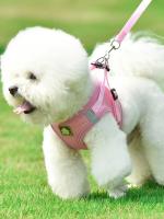 Juego De Correa Y Harnés Reflectante Para Perro Y Gato Transpirable Evita La Pulla Vestido De Dibujante Animado Para Todas Las Estaciones - details 0