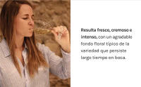 Bach Frizzante - Vino de Aguja - Caja 6 botellas 75cl - details 4