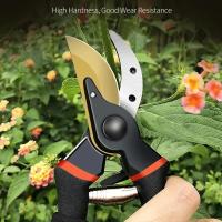 Tijeras De Podar Profesionales De 10 Pulgadas Con Hoja De Acero SK5 Para Bonsái Árbores Frutales Flores Ramas Herramienta De Podar - details 1