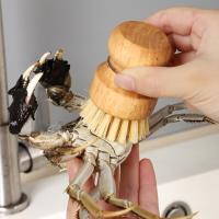 Cepillo De Limpieza Para Platos De Cocina Ecológico De Madera Y Coco Herramienta De Limpieza Para La Casa Uso Duradero - details 3