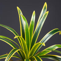 Gran Planta Artificial De Bambú 60cm Con 18 Hojas Hojas Verdes De Orchidáceas Para Decoración De Jardín Y Hogar Material Plástico - details 15