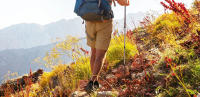 Shorts De Camuflaje Para Hombre Verano Secado Rápido Multibolsillos Ligeros Para Senderismo Pesca Camping Tácticos - details 1