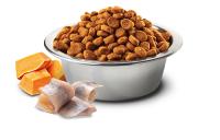 FARMINA N&D CAT OCEAN PUMPKIN ARENQUE 5KG / Alimento completo para gatos adultos - details 1