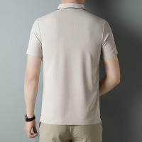 Camisa POLO De Verano Para Hombre Con Estampado De Letras Corta Resistente Al Arrugas Transpirable Ropa Casual SPANDEX Polyester - details 8
