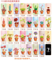 Bloques De Construcción De Suculentas En Maceta Adornos Para Edificios Modelos De Decoración De Hogar Juguete De Montaje Para Niños Regalo Bouquet De Flores - details 16