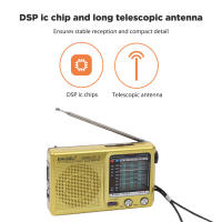 Radio Meteorológica De Emergencia Portátil Con Banda Completa SW AM FM Mini Radio Mano Batería Para Interior Y Exterior - details 0