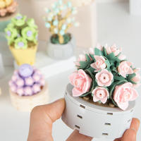 Bloques De Construcción DIY MOC Plantas Succulentas Cactus Gypsophila Bonsái Jardín Modelo Romántico Para Niños Kit De Juguetes - details 2