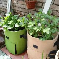 Bolsas De Cultivo De Verduras De Tamaño Grande Y Pequeño Bolsas De Crecimiento De Plantas De Tela No Tejida Para Jardín Y Estufa Herramientas Verticales Para Patatas - details 3