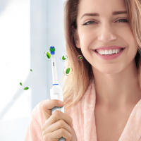 Cepillo De Dientes Eléctrico Con 6 Cabezas De Limpieza Y Estuche De Viaje 3 Modos Recargable Compatible Con Cabezas De Limpieza Oral B - details 1