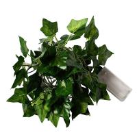 Cadena De Luces De Hojas Verdes Falsas 2M Con 20 LED Luz De Navidad Impermeable Y Alimentada Por Batería Para Decoración De Pared Y Casa - details 0