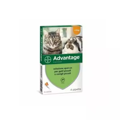 Pequeño 4 pipetas BAYER ADVANTAGE 40 mg Spot on Gatos y Conejos tamaño - 1