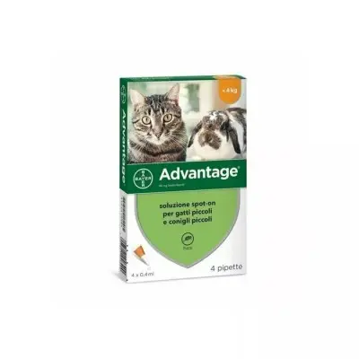 Pequeño 4 pipetas BAYER ADVANTAGE 40 mg Spot on Gatos y Conejos tamaño - 1