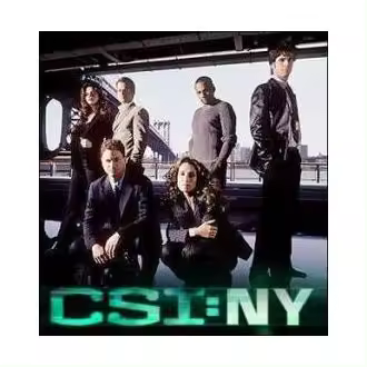 CSI NY TEMPORADA 1COMPLETA DVD - 1