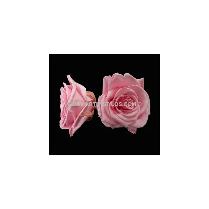 Rosa Preservada de 4 Cms. Calidad Premium - Raíz Flores - 1