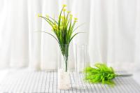 2pcs Jarrones De Vidrio Para Plantas Perfectos Para Decoración De Hogar Jardines Oficinas Accesorios Tubos Contenedores Montados En La Pared - details 4