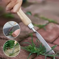 Mano De Hierba De Acero Inoxidable Herramienta De Rastrillo Manual Para Eliminar Malas Hierbas Con Dientes Agudos Para Raizamiento De Grama - details 1