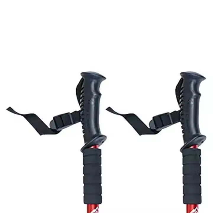 Material senderismo Bastones Softee Bastones Bbd Plateado Unisex - 1