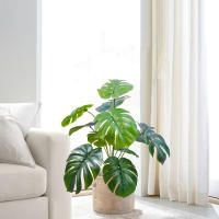 Artificial Monstera De 60-110cm Planta Falsa De Plástico Para Decoración De Casa Y Oficina En Maceta Ornamental Apta Para Festivales - details 20